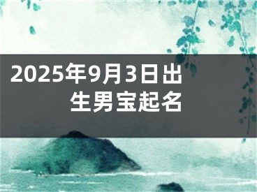 2025年9月3日出生男宝起名