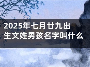 2025年七月廿九出生文姓男孩名字叫什么