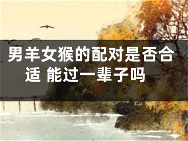 男羊女猴的配对是否合适 能过一辈子吗
