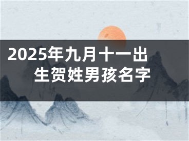 2025年九月十一出生贺姓男孩名字