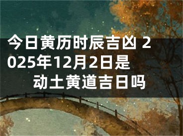 今日黄历时辰吉凶 2025年12月2日是动土黄道吉日吗