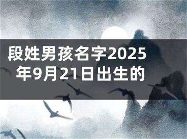 段姓男孩名字2025年9月21日出生的
