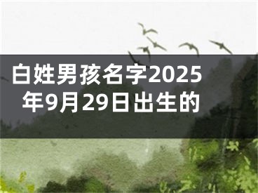 白姓男孩名字2025年9月29日出生的