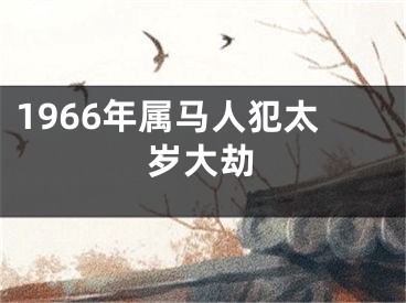 1966年属马人犯太岁大劫