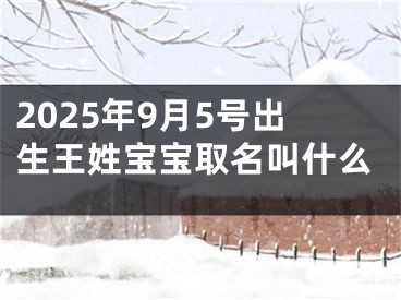 2025年9月5号出生王姓宝宝取名叫什么