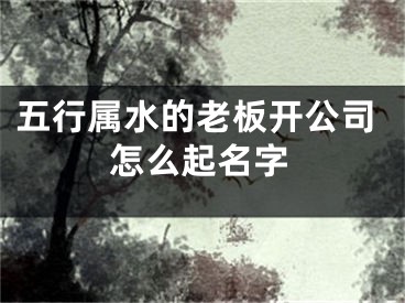 五行属水的老板开公司怎么起名字