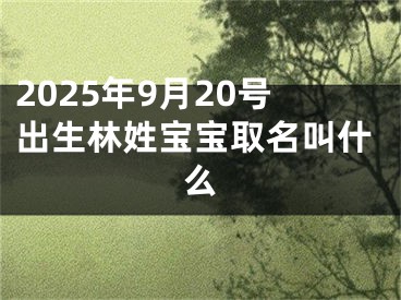 2025年9月20号出生林姓宝宝取名叫什么