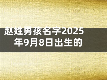 赵姓男孩名字2025年9月8日出生的