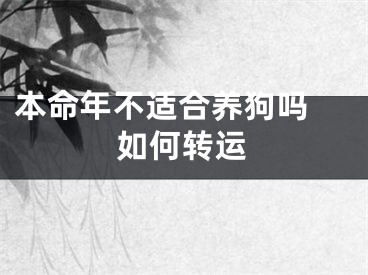 本命年不适合养狗吗 如何转运