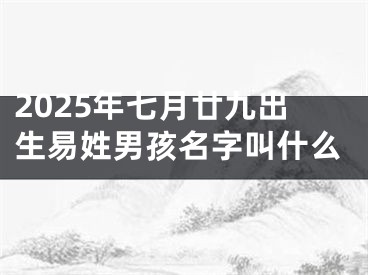 2025年七月廿九出生易姓男孩名字叫什么