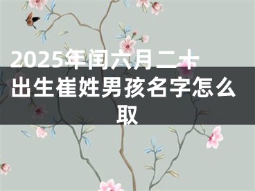 2025年闰六月二十出生崔姓男孩名字怎么取