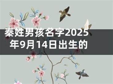 秦姓男孩名字2025年9月14日出生的