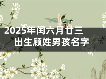 2025年闰六月廿三出生顾姓男孩名字
