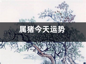属猪今天运势