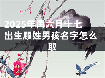 2025年闰六月十七出生顾姓男孩名字怎么取