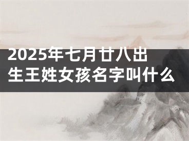 2025年七月廿八出生王姓女孩名字叫什么