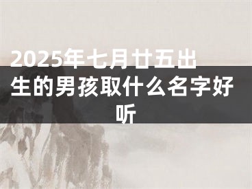 2025年七月廿五出生的男孩取什么名字好听