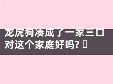 龙虎狗凑成了一家三口对这个家庭好吗? ​