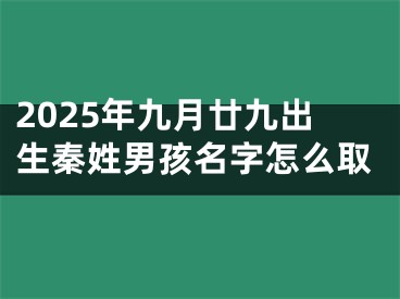 2025年九月廿九出生秦姓男孩名字怎么取