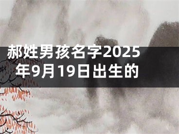 郝姓男孩名字2025年9月19日出生的