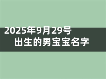 2025年9月29号出生的男宝宝名字