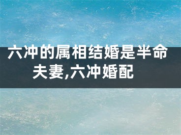 六冲的属相结婚是半命夫妻,六冲婚配