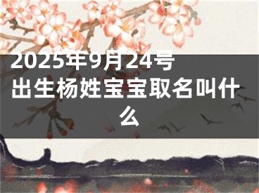 2025年9月24号出生杨姓宝宝取名叫什么