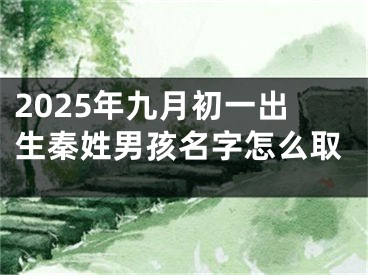2025年九月初一出生秦姓男孩名字怎么取