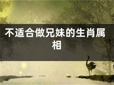 不适合做兄妹的生肖属相
