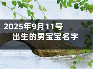 2025年9月11号出生的男宝宝名字