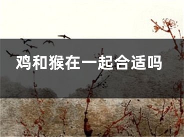 鸡和猴在一起合适吗