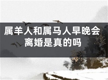 属羊人和属马人早晚会离婚是真的吗
