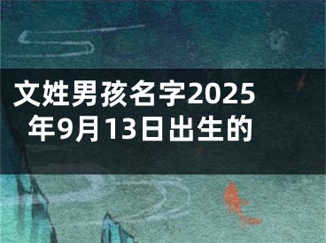 文姓男孩名字2025年9月13日出生的