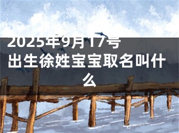 2025年9月17号出生徐姓宝宝取名叫什么