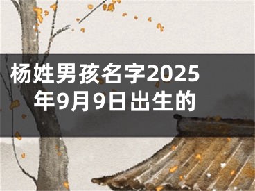 杨姓男孩名字2025年9月9日出生的