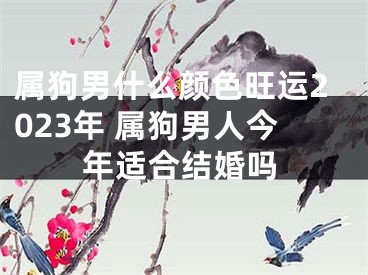 属狗男什么颜色旺运2023年 属狗男人今年适合结婚吗