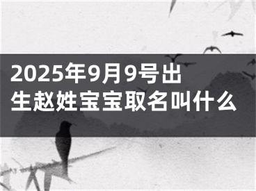 2025年9月9号出生赵姓宝宝取名叫什么
