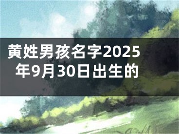 黄姓男孩名字2025年9月30日出生的