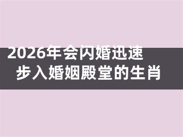 2026年会闪婚迅速步入婚姻殿堂的生肖