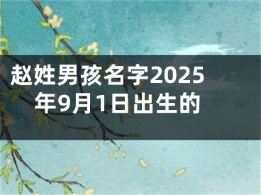 赵姓男孩名字2025年9月1日出生的