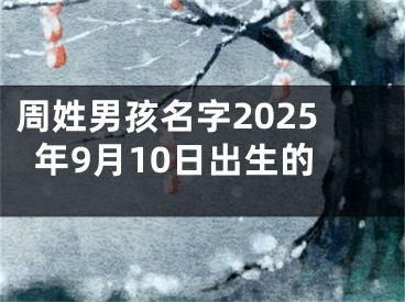 周姓男孩名字2025年9月10日出生的