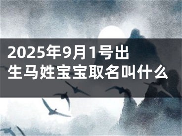 2025年9月1号出生马姓宝宝取名叫什么