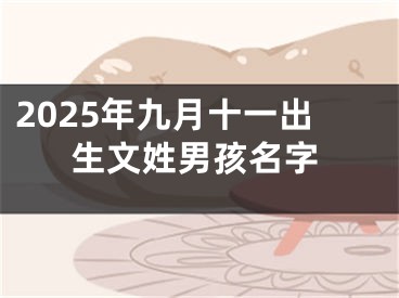 2025年九月十一出生文姓男孩名字
