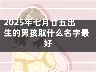 2025年七月廿五出生的男孩取什么名字最好