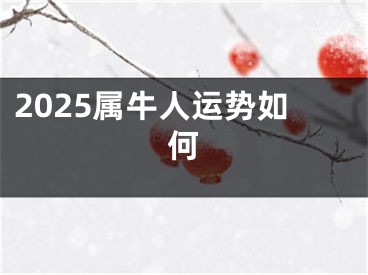 2025属牛人运势如何