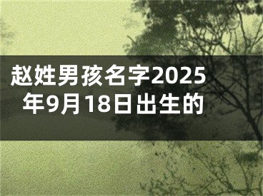 赵姓男孩名字2025年9月18日出生的