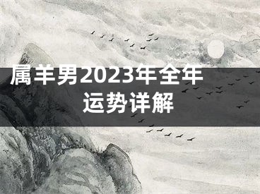 属羊男2023年全年运势详解