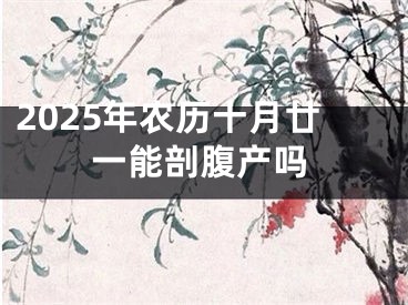 2025年农历十月廿一能剖腹产吗