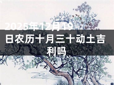 2025年12月19日农历十月三十动土吉利吗