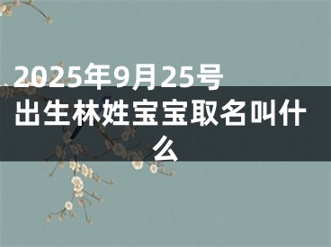 2025年9月25号出生林姓宝宝取名叫什么